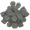 Pelety